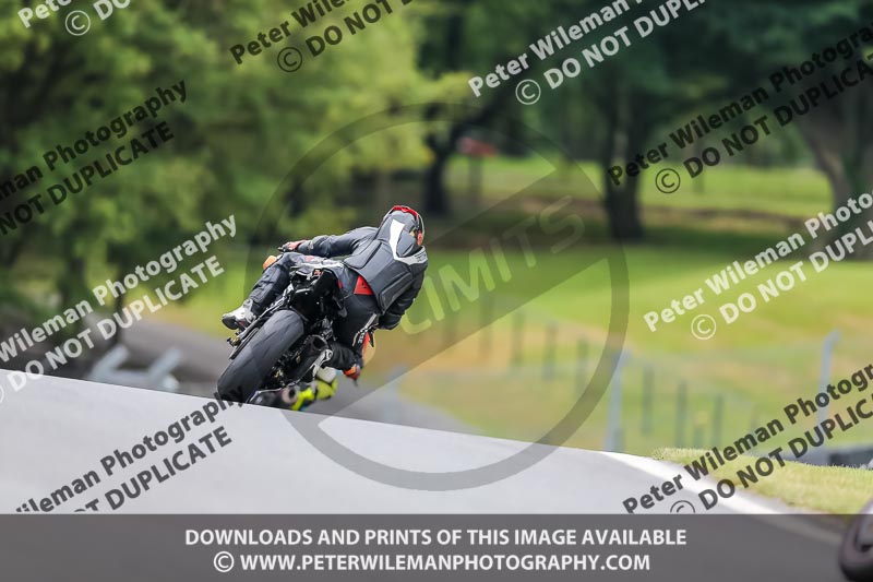PJ Motorsport Photography 2020;anglesey;brands hatch;cadwell park;croft;donington park;enduro digital images;event digital images;eventdigitalimages;mallory;no limits;oulton park;peter wileman photography;racing digital images;silverstone;snetterton;trackday digital images;trackday photos;vmcc banbury run;welsh 2 day enduro